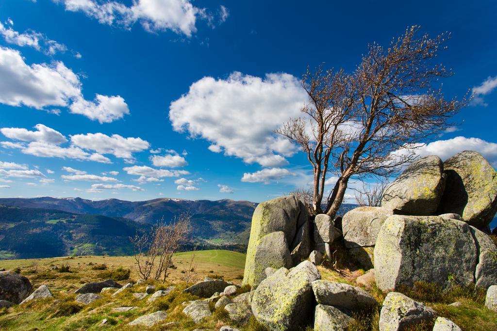 Gite Chez Mimie Breitenbach-Haut-Rhin Eksteriør billede
