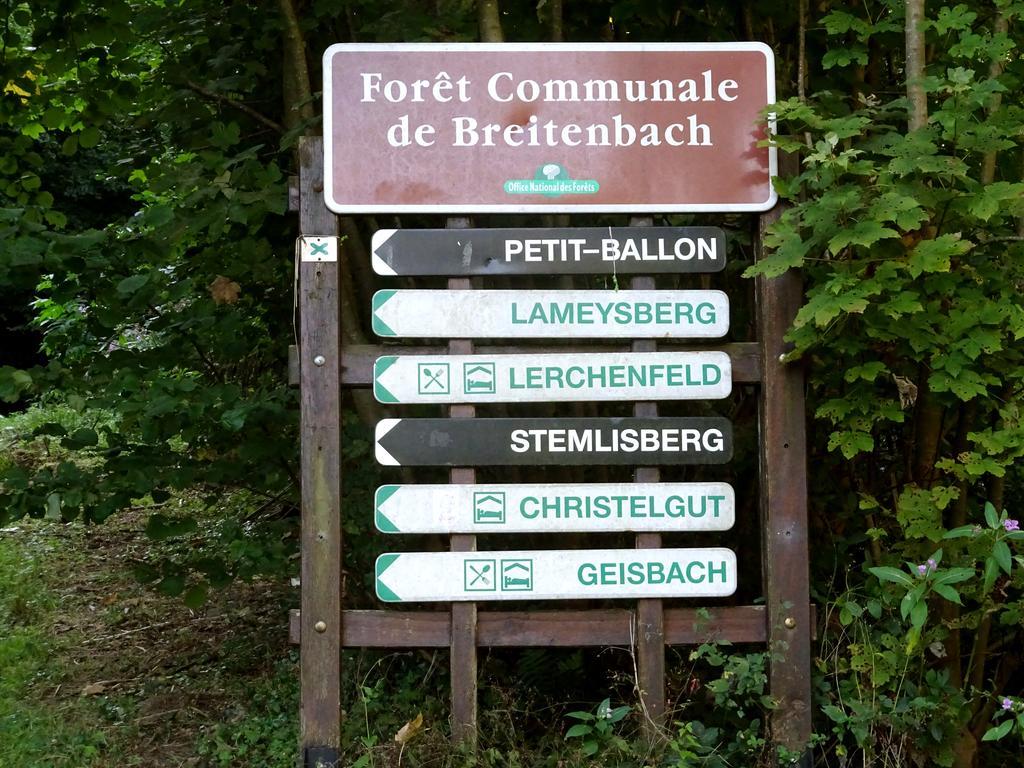 Gite Chez Mimie Breitenbach-Haut-Rhin Eksteriør billede