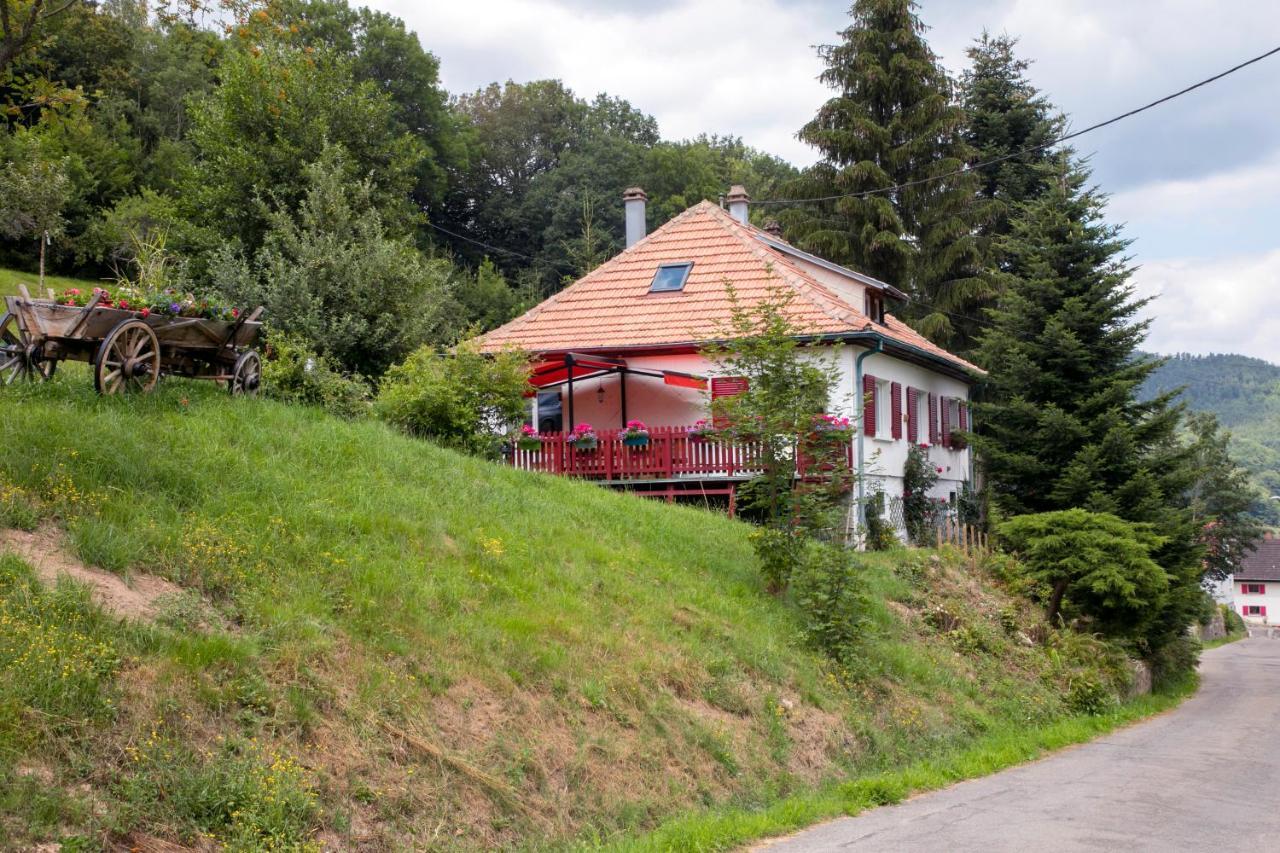 Gite Chez Mimie Breitenbach-Haut-Rhin Eksteriør billede