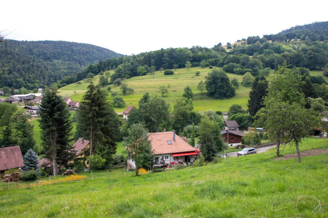 Gite Chez Mimie Breitenbach-Haut-Rhin Eksteriør billede