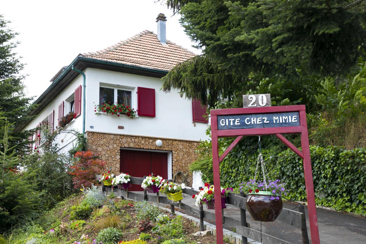 Gite Chez Mimie Breitenbach-Haut-Rhin Eksteriør billede