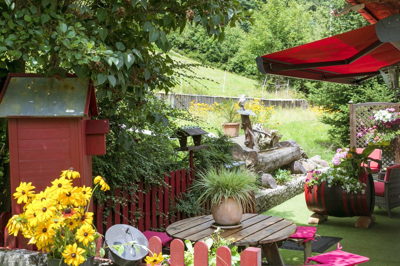 Gite Chez Mimie Breitenbach-Haut-Rhin Eksteriør billede