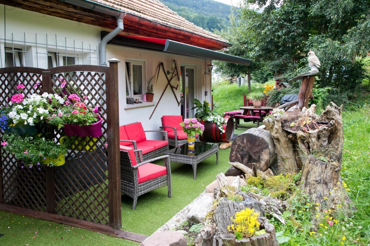 Gite Chez Mimie Breitenbach-Haut-Rhin Eksteriør billede